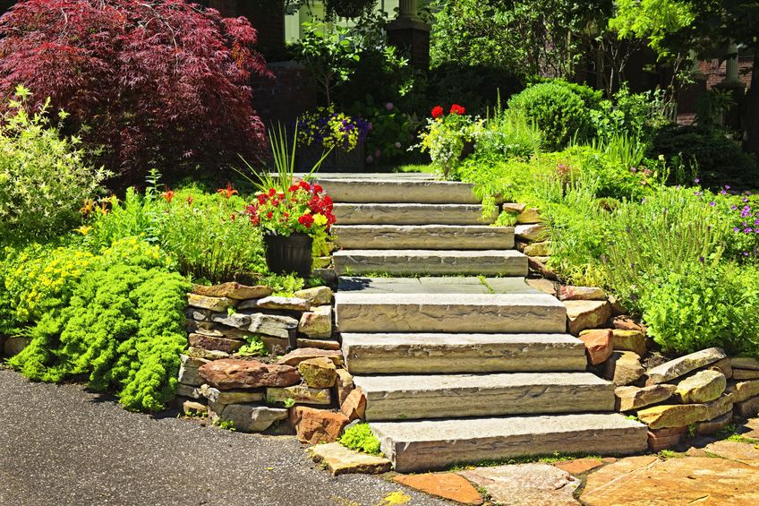 3 Reasons Why a Professional Landscape Design in Los Angeles is Best