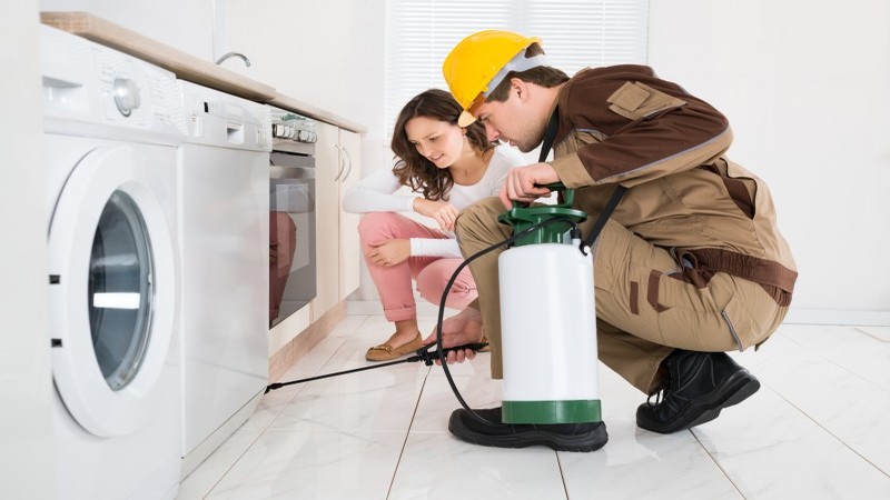 What to Look for in Local Pest Control in Peachtree City, GA