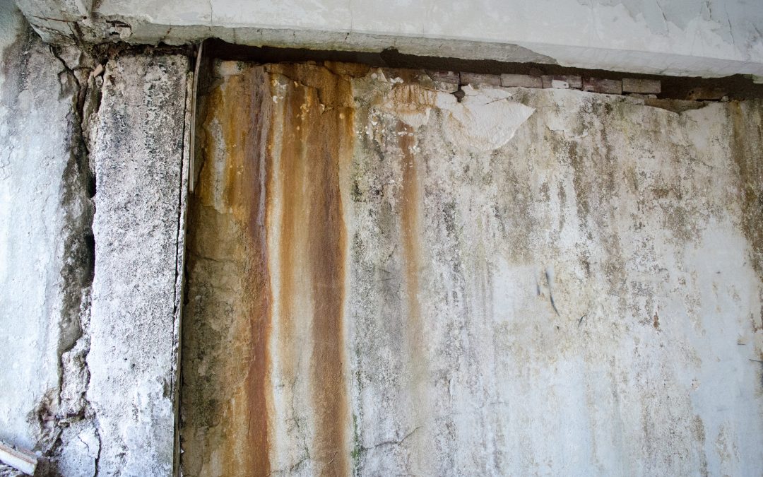 Turning Setbacks into Comebacks with Flood Water Damage Restoration Laurel, MS