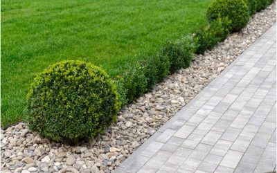 Transform Your Yard: Expert Tips on Landscape Maintenance Cape Cod MA