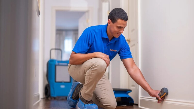 Protect Your Home from Hidden Dangers with Mold Remediation in Loveland, CO, Experts