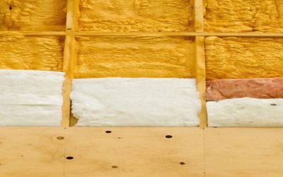 How To Handle Squirrel Removal From Attic Jackson Township, NJ, For a Safer Home
