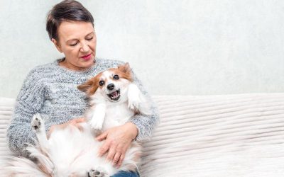 How Professional Dog Poop Removal Can Improve Your Property’s Curb Appeal