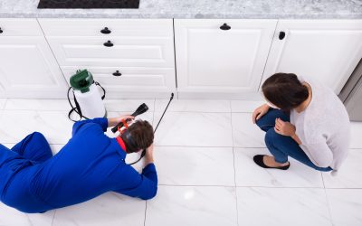 Protect Your Home from Infestations with Home Pest Control in Newnan, GA Solutions