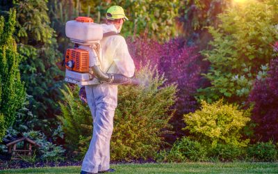 Practical Steps to Apply Flea Treatment for Yard, Charlestown, IN, at Home