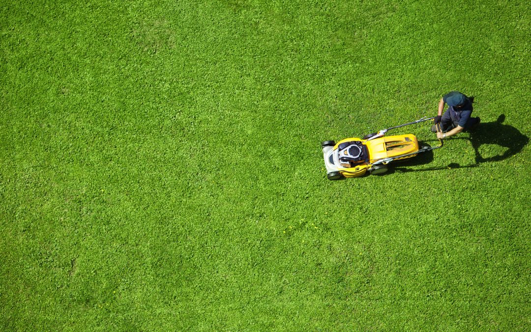 How lawn service in Germantown, TN, keeps neighborhoods green and healthy