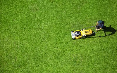 How lawn service in Germantown, TN, keeps neighborhoods green and healthy